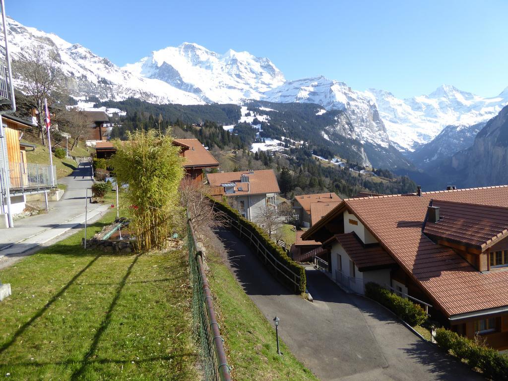 Chalet Gerbera Wengen Cameră foto