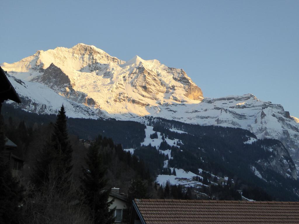 Chalet Gerbera Wengen Cameră foto