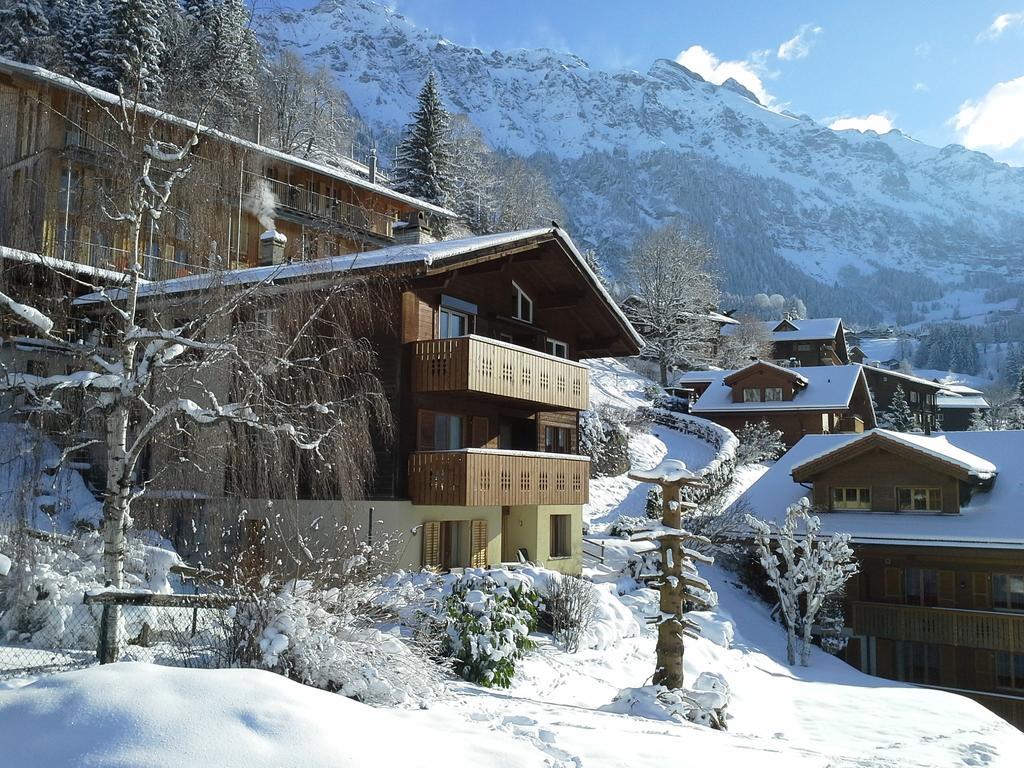 Chalet Gerbera Wengen Cameră foto