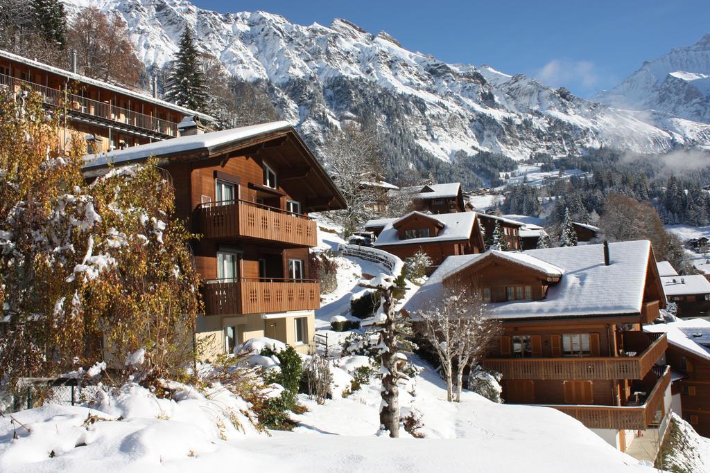 Chalet Gerbera Wengen Exterior foto